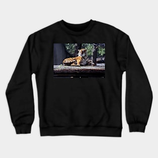 Tiger #1 - London Zoo Crewneck Sweatshirt